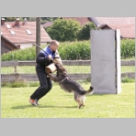 Dingo noch einmal.....JPG